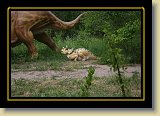 dinozaury 0143 * 3456 x 2304 * (4.2MB)
