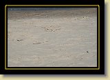 morski piasek 0021 * 3456 x 2304 * (3.28MB)