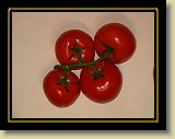 pomidor 0004 * 2048 x 1536 * (1.3MB)