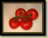 pomidor 0009 * 2048 x 1536 * (1.11MB)