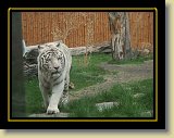 zoo 0020 * Minolta DSC * 2560 x 1920 * (3.3MB)