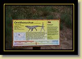 dinozaury 0021 * 3456 x 2304 * (2.92MB)